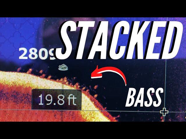 When to STOP Graphing and START Fishing! (What BASS Look Like on SIDE & DOWN Imaging)