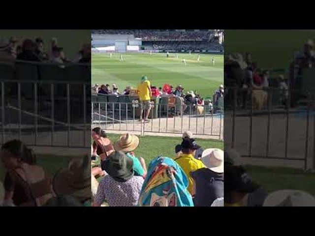 Cricket Fan Chugs Every Beer || ViralHog