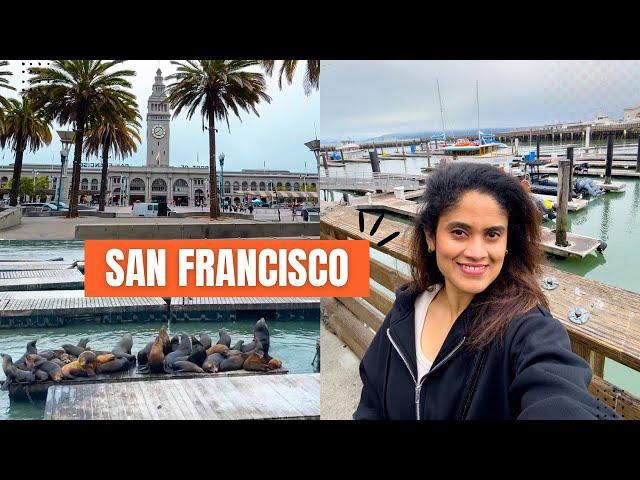 Exploring streets of San Francisco | Pier walk | Seal watch | Ferry building | offbeat san francisco