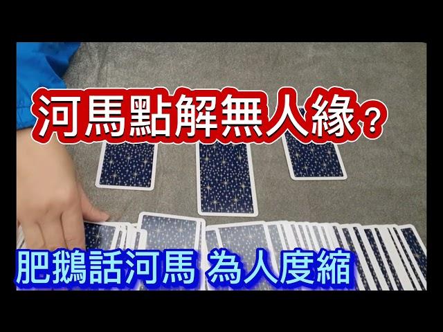 塔羅問事：河馬點解無人緣？