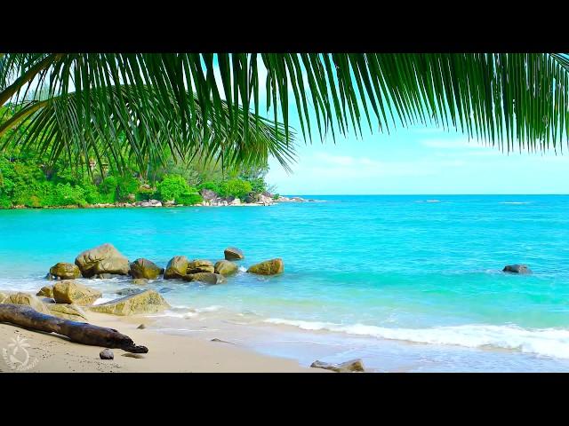  Tropical Beach Ambience on a Island in Thailand with Ocean Sounds For Relaxation & Holiday Feeling