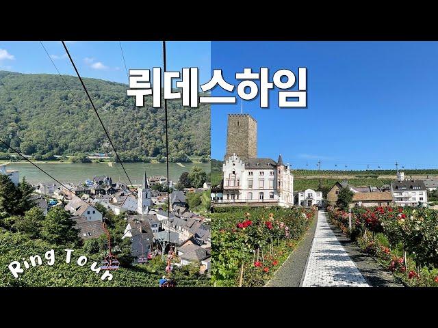 뤼데스하임| 프랑크푸르트 근교 링투어 | 포도밭이 펼쳐진 라인강변의 아름다운 독일 소도시 | 독일이 좋아지기 시작했어요!