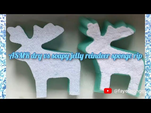 ASMR Christmas collection dry vs soapy jelly reindeer sponge rip. Ripping crispy sponges 