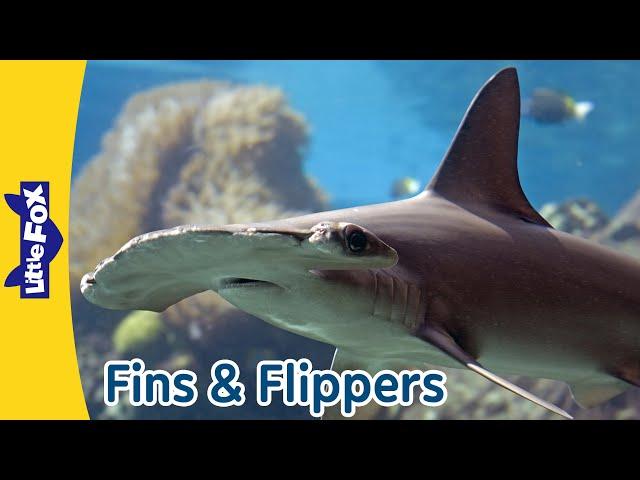 Cool Fins and Flippers | Manta Ray, Sea Horse, Shark, Whale, Manatee and Sea Lion | Little Fox