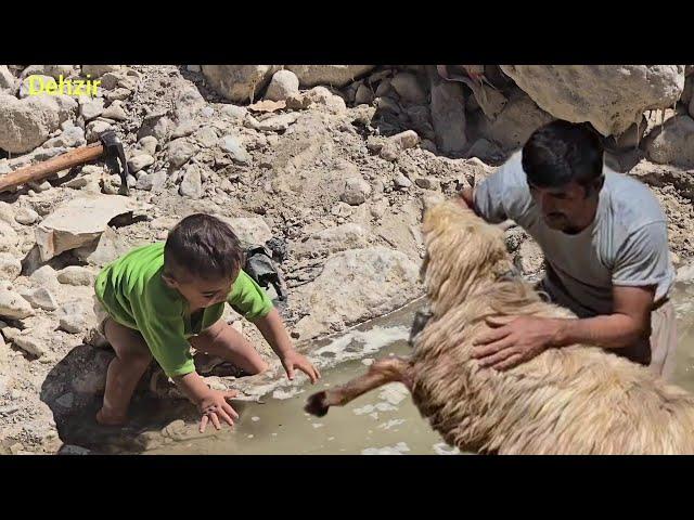 Hand in hand with nature: washing the sheep and reconciling with cleanliness and relatives