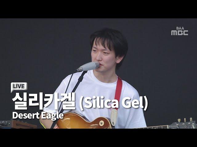 실리카겔(Silica Gel) - Desert Eagle @부산국제록페스티벌 2022 실리카겔 붐은••• 왔다