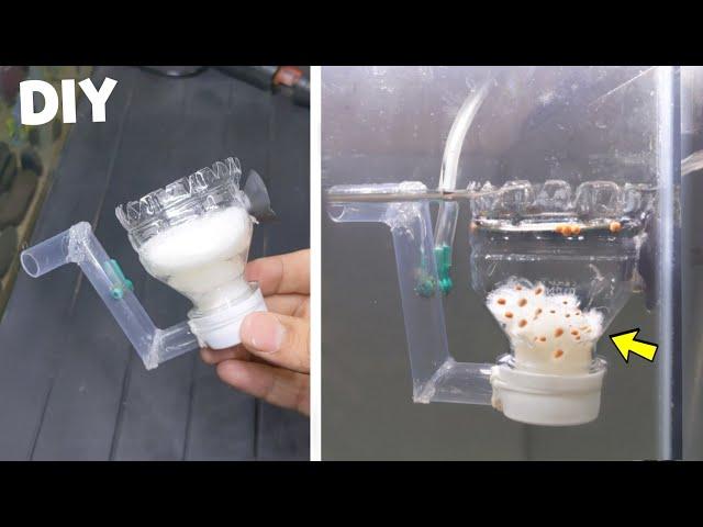 DIY Aquarium Surface Skimmer | How to make an aquarium filter (0$ Cost)