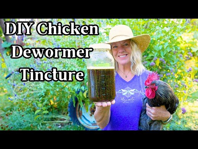 DIY Natural Deworming Tincture for Healthy Hens