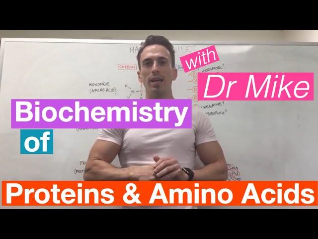 Proteins & Amino Acids | Biochemistry