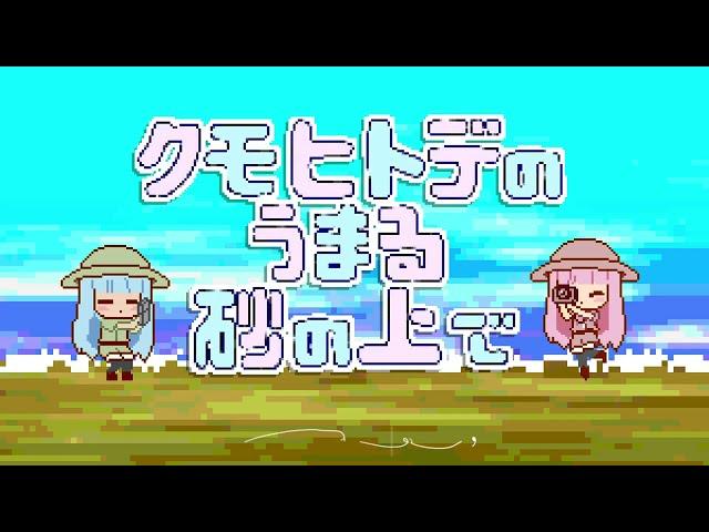 クモヒトデのうまる砂の上で