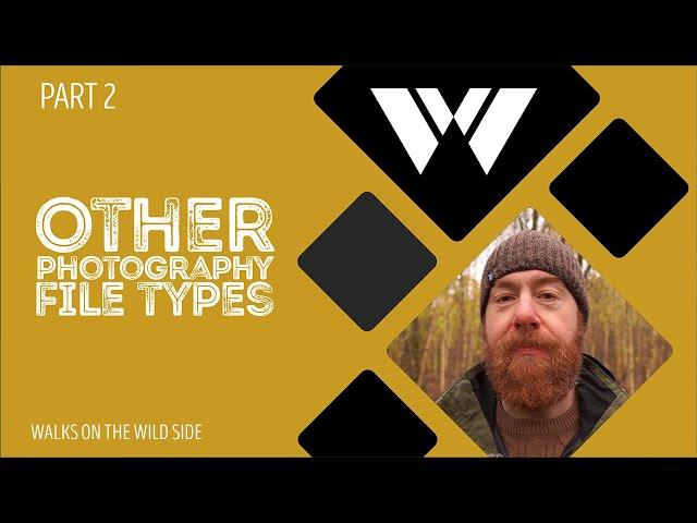 The ultimate guide to file types in photography: part 2 - other