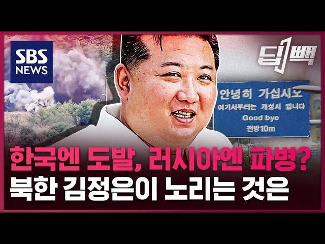 한국에는 도발하고, 러시아에는 1만 명 파병 준비?...북한 김정은이 노리는 것은 / SBS / #딥빽