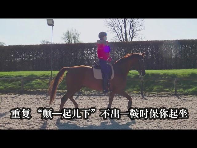 「舞步女孩的马术V志」- 最全马术教学讲解！适合初/中级骑手