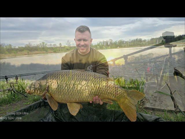 łowienie karpi na łowisku Małe Kornaty .Brania na żywo #fox #carp #shimano