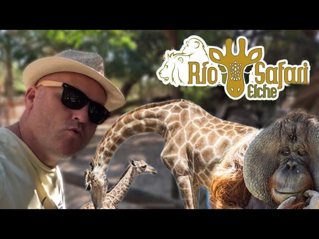 Field view adventures goes on safari