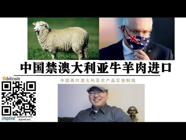 中国再禁止澳大利亚牛羊肉进口！除了澳洲红酒要喝还要吃澳洲牛羊肉！挺澳洲越来越难了！澳大利亚再走文革老路 ！宁要资本主义的草 不要社会主义的苗！