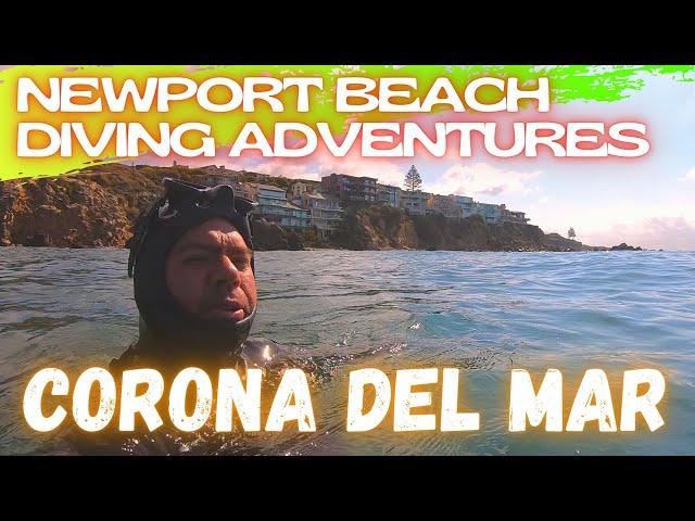 Newport Beach Diving Adventures / Corona Del Mar !