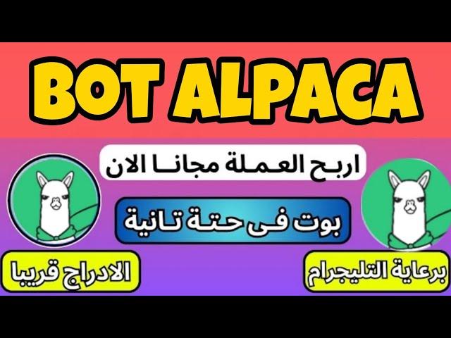 شرح بوت alpaca وكيفية الربح منه أكثر من 100$ مجانا _الربح من الأنترنيت بدون رأس المال 2024