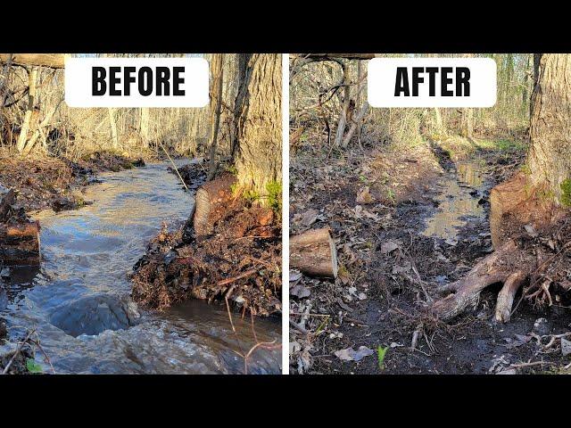 UNCLOGGING Huge Dam and Drainage Ditch - You Won't BELIEVE What It Looks Like Now