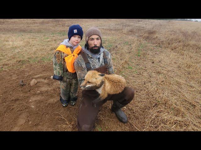 Close Call During Hand Release of a Red Fox - Checking Traps #lazypondfarm Fish & Hunt