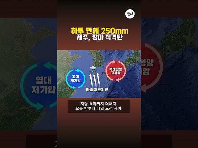 하루 만에 250mm...제주, 장마 직격탄