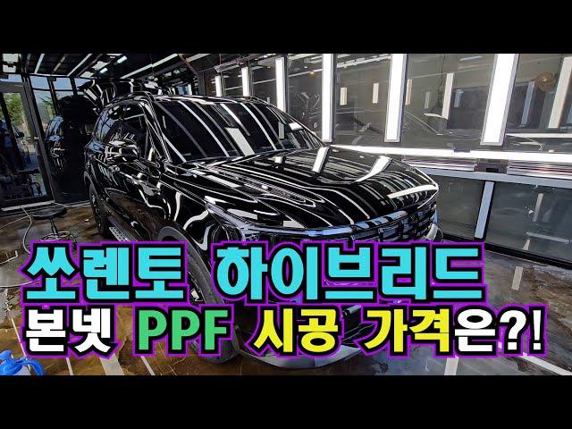 쏘렌토 하이브리드 본넷 PPF 시공가격은?!