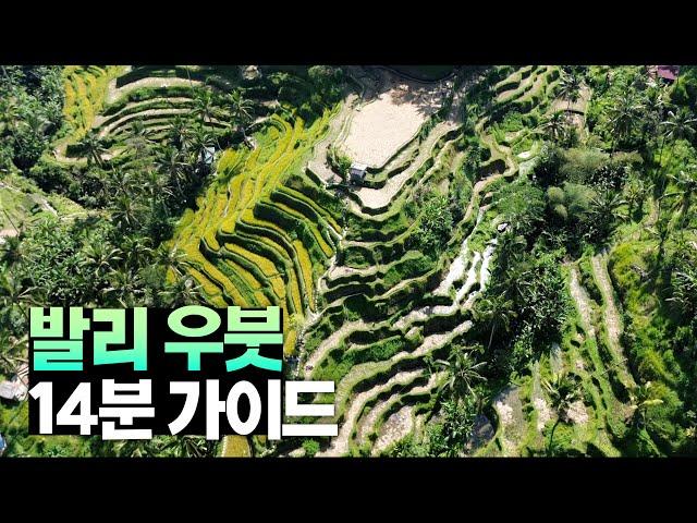  정글, 화산, 폭포 다이나믹 그 잡채 - 발리 우붓 가이드 【발리 2편】