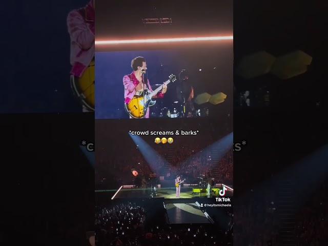 Harry’s a year older, a year wiser  last night of #loveontour in the US  HAPPY BDAY #harrystyles