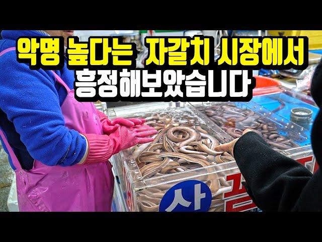 Delicacy of Busan Jagalchi Market! How to eat inshore hagfish cheap and delicious