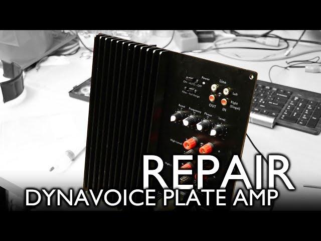 Dynavoice Definition SW10 Plate Amp Repair