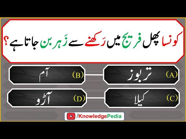 islami Urdu Paheliyan | Islamic Riddles | اسللامی سوال جواب اور معلومات  | islamic  Questions 621