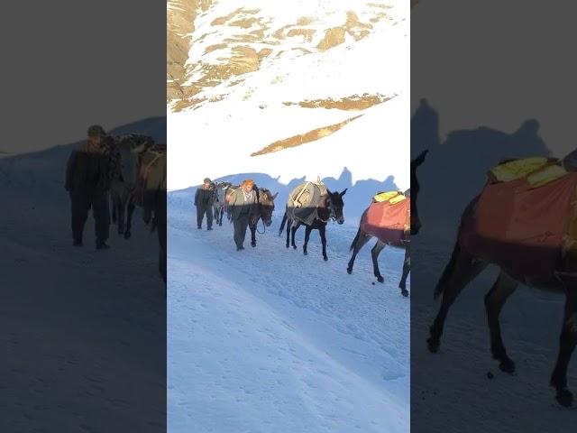 Kışın güzelliği bambaşka..