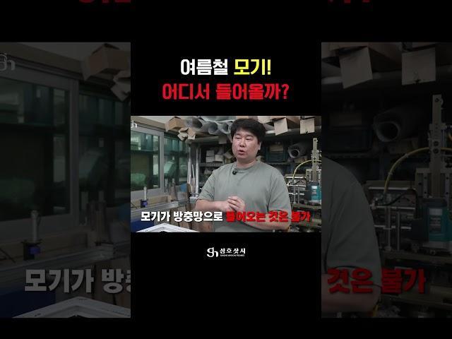 여름철 모기! 어디서 들어오는 걸까? #shorts