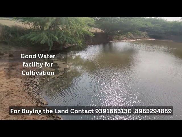 40 Acres Agriculture Land For Sale | Near Sullurpeta