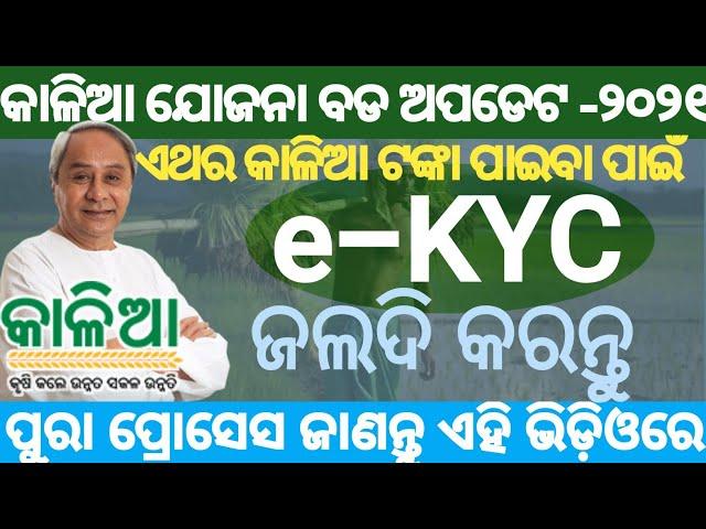 Kalia Yojana Online E-Kyc | How to do online e-kyc for Kalia Yojana Odisha | E Kyc for Kalia Yojana