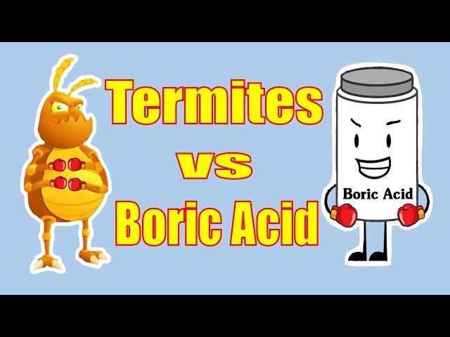 Does Boric Acid Really Kill Termites?  This is what you need to know.