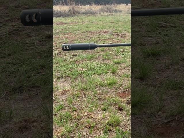 300 PRC Suppressor #shorts #short #shortsvideo #shortsfeed #shortvideo #shortvideos #shortsviral