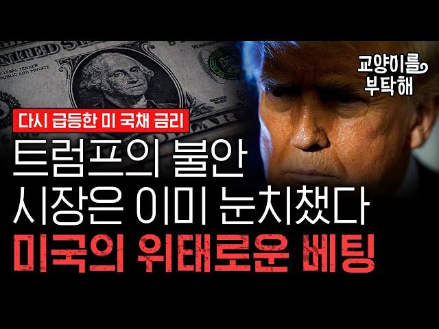 [지식뉴스 EP.24] 트럼프의 불안, 시장은 이미 눈치챘다...미국의 위태로운 베팅 (ft.이현식 SBS D콘텐츠제작위원) / 교양이를 부탁해