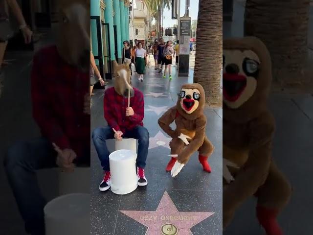 Buckets the Drummer and OnlySloths perform "Baby Got Back" on the Hollywood Walk of Fame