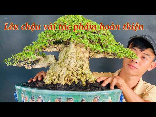 Một số tác phẩm hoàn thiện lên chậu Gl với ae