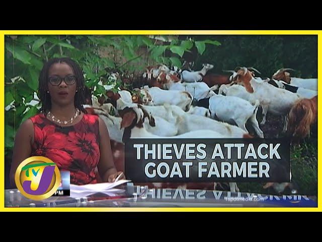 Thieves Attack Goat Farmer on March Pen Road | TVJ News - Dec 10 2021