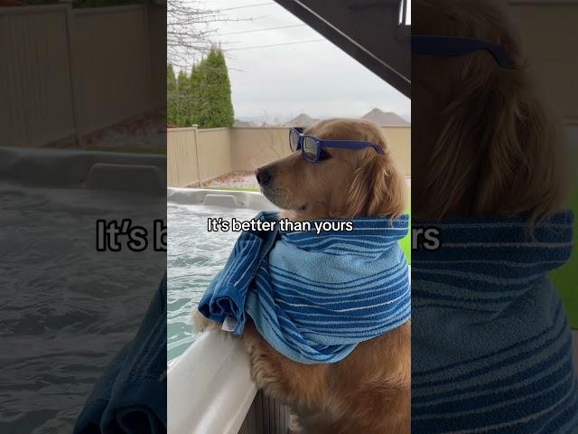 Buddy’s hot tub party  #dogvoiceover #fyp #goldenretriever #shorts #milkshake #voiceover #funnydog