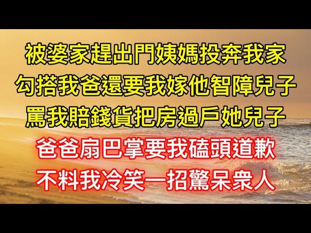 被婆家趕出門姨媽投奔我家，勾搭我爸還要我嫁他智障兒子，罵我賠錢貨把房過戶她兒子，爸爸扇巴掌要我磕頭道歉，不料我冷笑一招驚呆衆人