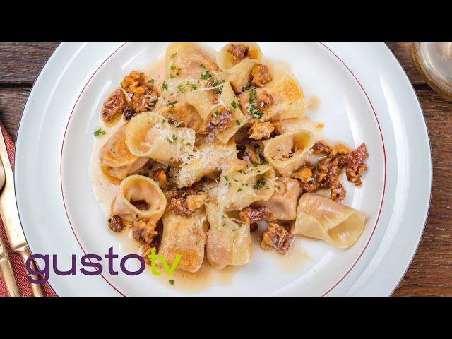 creamy roast pumpkin tortellini: fall food favourites | bonacini's italy