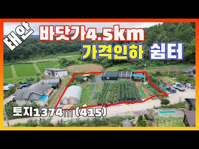 [물건번호2761]태안군 태안읍 바닷가 4.5km "비닐하우스2동 +지하수+닭장+주방 방 욕실이 딸린 쉼터+농업용전기" 가격인하 급매 합니다,  농업경영체등록가능한 태안바닷가예쁜토