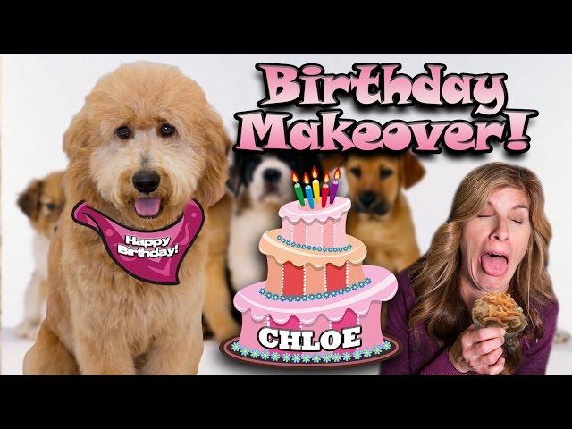 CHLOE'S BIRTHDAY MAKEOVER!!! MommyTube Eats DOG FOOD! NEW HOUSE!