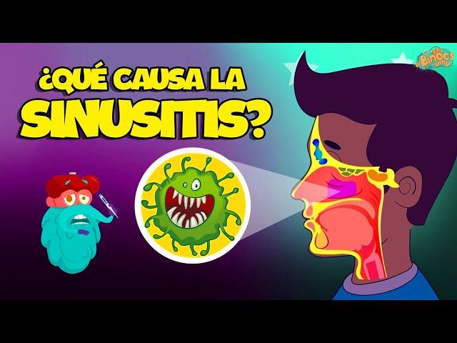 ¿Qué Causa La Sinusitis? | Ciencias Cara Niños | Vídeo educativo | Educativos Para Niños 2024