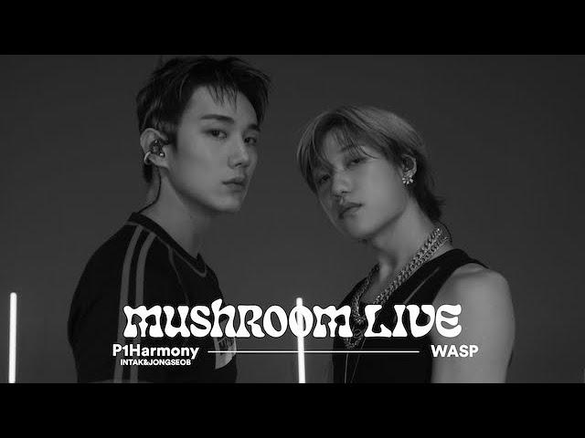 MUSHROOM LIVE SPECIAL 피원하모니 인탁 & 종섭 P1Harmony INTAK & JONGSEOB - WASP