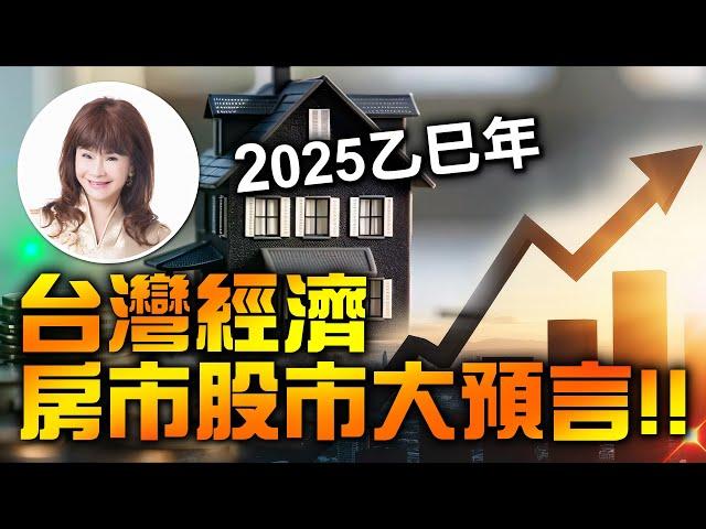 2025乙巳年，台灣經濟房市股市大預言！！【林海陽】_20241205