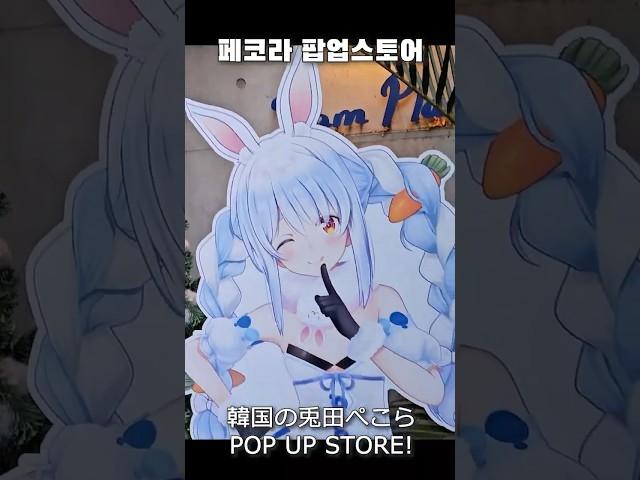 우사다 페코라 1st라이브 기념 팝업스토어  韓国の兎田ぺこらPOP UP STORE! #vtuber #ホロライブ #hololive #홀로라이브 #우사다페코라 #兎田ぺこら